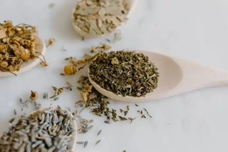 7-Natural-Remedies-for-Enhanced-Cardiovascular-Support Cellregen UK